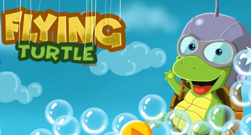 Flying turtle
