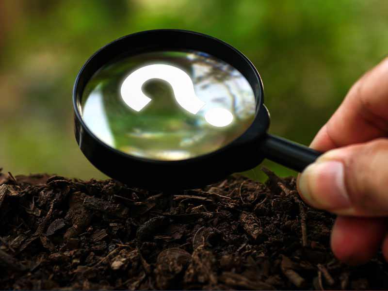 Are you familiar with earth, natural and chemical sciences?
