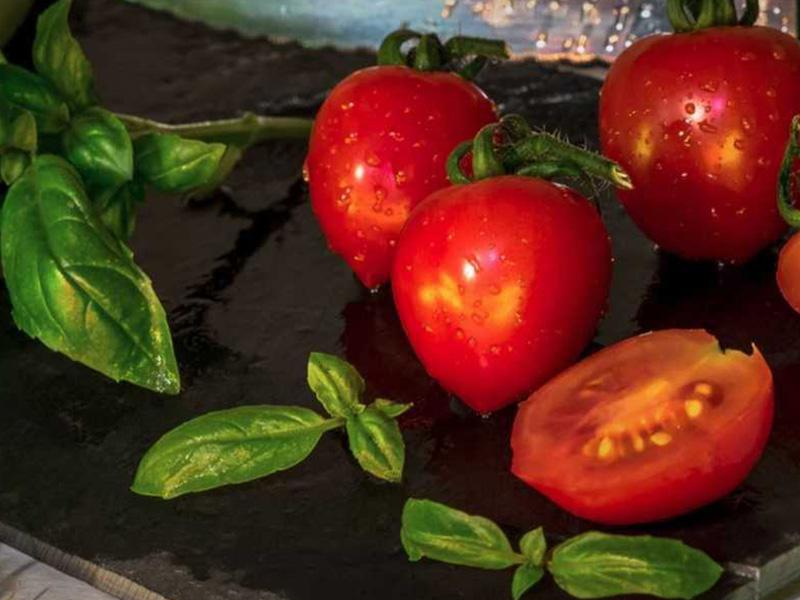 World's cuisines: Do you know Italian cuisine?