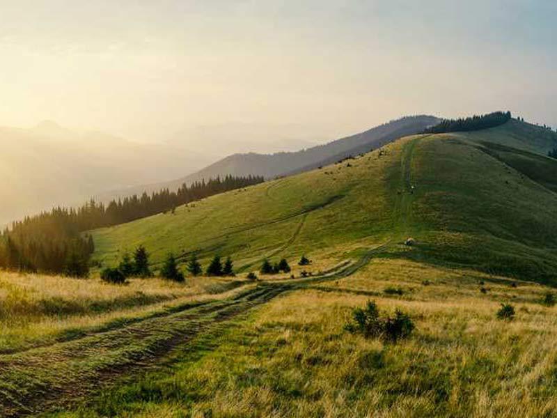 The mental test of the hill, find out what it says about you