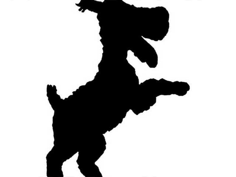 Can you recognize this character?