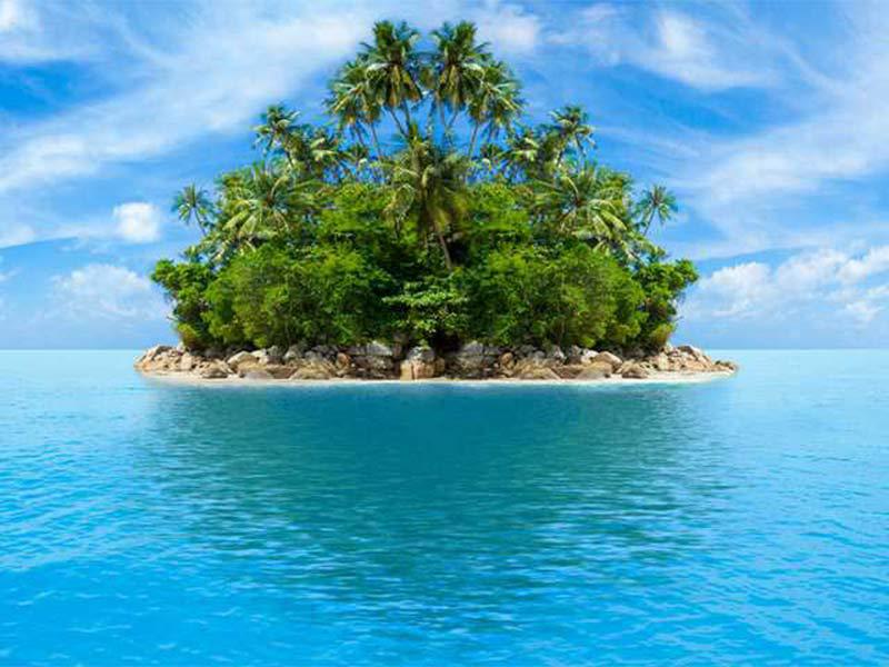 Take the deserted island psychological test your personality