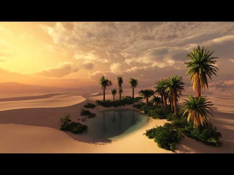Take the oasis psychological test your personality!