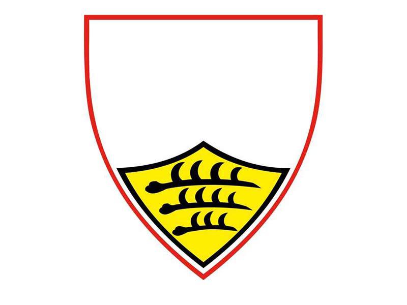 Recognize the logo: which team is it?